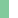 Eau de Nil/White Trim