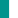 Teal/White Trim