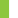 Lime/White