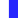 White/Royal Blue