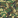 Camouflage